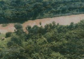 Grand terrain agricole avec de vastes forêts précieuses