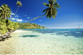A vendre terrain de 32455 m2 sur l'Ile Rangiroa