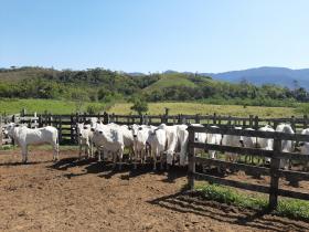 Terres rurales adaptées à l'élevage et à la villégiature