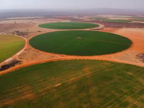 Ferme d'irrigation commerciale