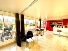 Appartement avec terrasse et vue féerique sur Paris