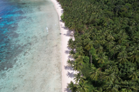 Près de 4 hectares de front de mer sur une île tropicale de premier ordre