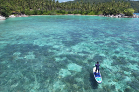 Double façade de plage, plantation de noix de coco existante, promontoire incroyable avec cascade saisonnière