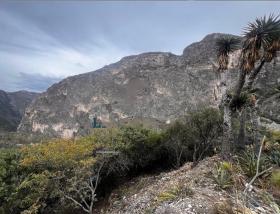 Terrain de Campagne à Vendre à El Jonuco