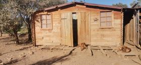 Terrain chênes truffier - en production