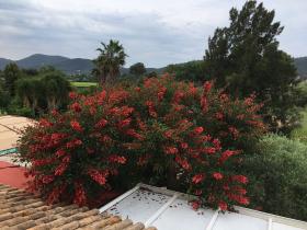 Maison de 190 m2 orientée sud avec vue dégagée sur jardin arboré