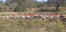 Domaine champêtre paradisiaque à Ibiza