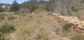 Domaine champêtre paradisiaque à Ibiza
