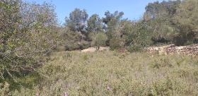 Domaine champêtre paradisiaque à Ibiza