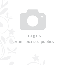 Belle villa à vendre à Tamatave Madagascar