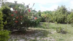Maison à Rangiroa en Polynésie Française 