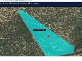 Ferme andalouse typique avec 14 hectares de prairies de chênes-lièges