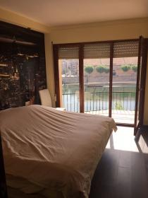 Grand bel appartement avec vue sur la rivière