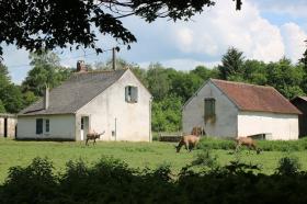 Vends 72 hectares de forêts closes avec 2 maisons, 1 sellerie, 2 hangars et 8 box à chevaux
